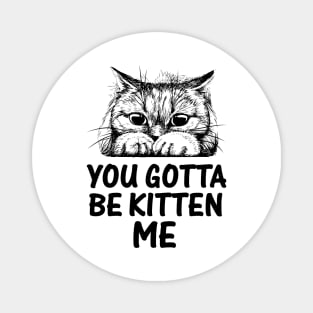 YOU GOTTA BE KITTEN ME Magnet